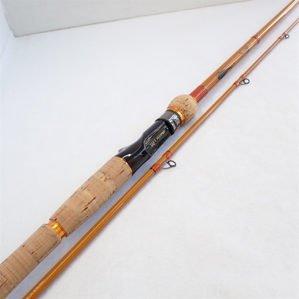 鯰人ＤＮＡＺ－６７Ｍ－２